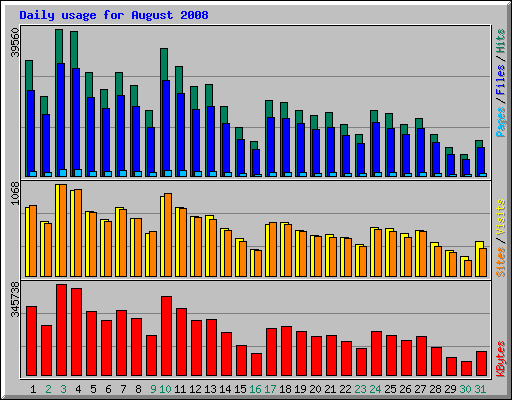 Daily usage for August 2008